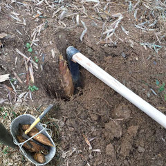 锄头 农具锻打种菜 木柄条锄 种花种菜锄头 园林园艺工具挖笋犁地