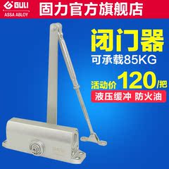 GULI固力闭门器DS1204 缓冲液压闭门器家用自动定位关门器门弹簧