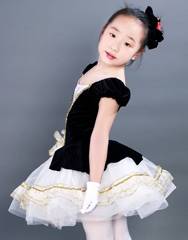 儿童女公主练功服芭蕾修身天鹅绒新款演出舞台装8002 不含手套