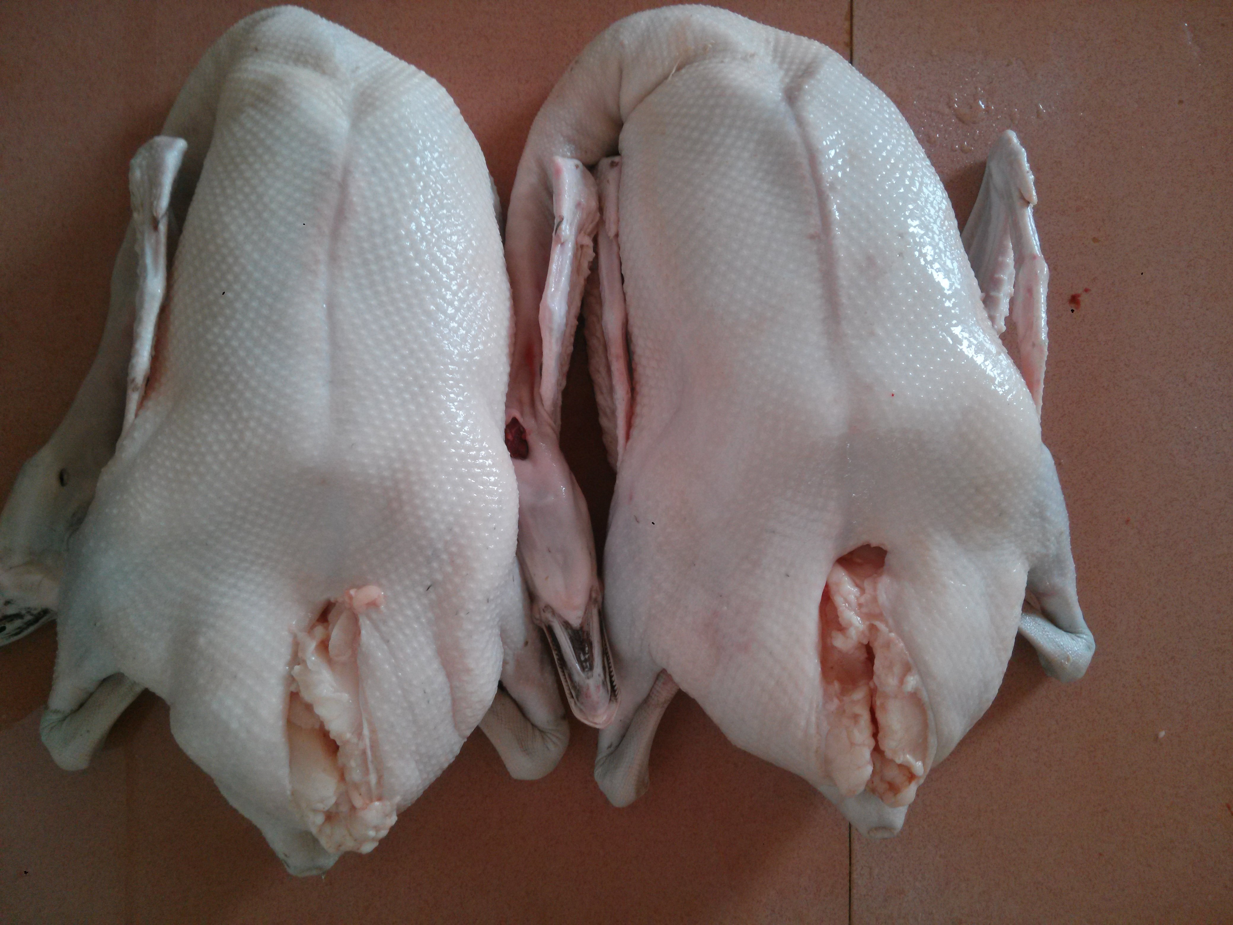 6767672016-12-5 00:18来自千牛化普食品 关注专注烤乳猪料理