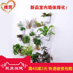 菜多美 壁挂花盆室内植物墙花墙组合个性 仿真人造立体绿化植物墙