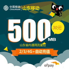 山东移动 流量包500M 本地流量 本省使用 当月有效