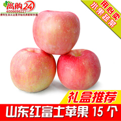 尚购24鲜果 精品栖霞苹果 红富士苹果15个福利团购新鲜水果配送
