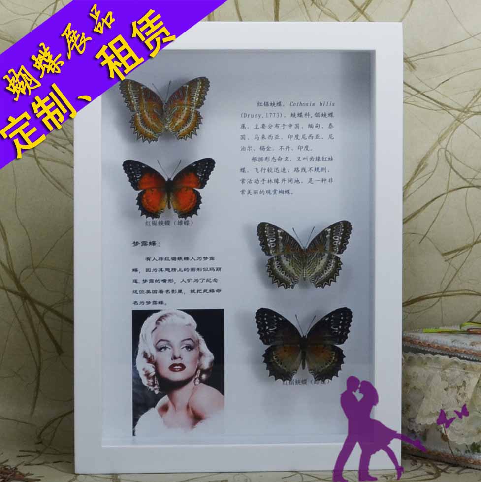 butterfly Exhibits customized Lease(5 yuan a day,International pays) purchase contact customer service Butterfly specimensin the Home accessories , Decorative painting , Decorative painting class specimens category - from Buy2taobao.com to provide professional Taobao agent buy service