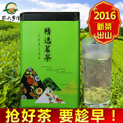 农夫乡情高山特产云雾茶明前茶 湖北绿茶茶叶2016年新茶罐装250G