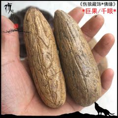 千眼菩提子巨型果超大果文玩手把件挂饰手链挂件精选大果菩提包邮