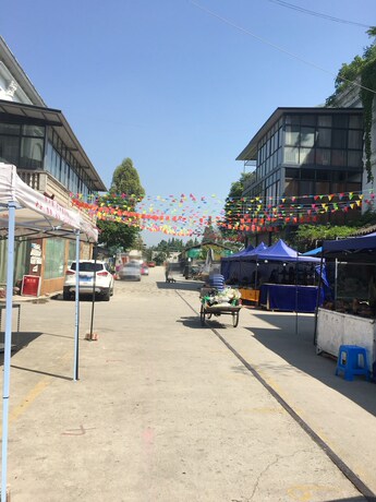 成都市温江区万春镇南岳村九社&ldquo;花木市场交易中心&amp