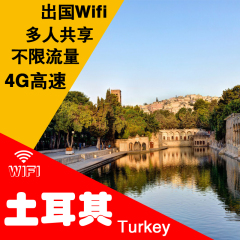 土耳其随身wifi租赁 无线移动3G4G高速上网出国游高速漫游egg蛋