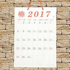 2017年挂历 鸡年简约年历表 大号空格记事月历月计划  吊历日程表