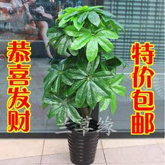 盆景大型发财树仿真植物装饰假花假树客厅绿植仿真花盆栽仿真树