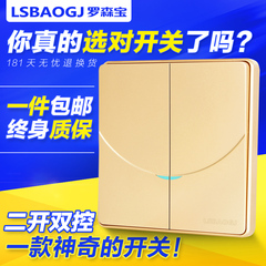 双联开关双开双控金色二开二控床头罗森宝电器2开2控墙壁开关插座