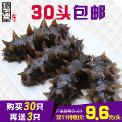 德轩堂冷冻即食海参深海野生刺参速食辽参包邮批发非山东大连海参