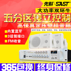 SAST/先科 S551壁挂式音响挂壁喇叭音箱超市店铺餐厅背景音乐套装