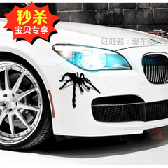 汽车3D立体车尾装饰贴 蜘蛛创意拉花车贴 个性刮痕贴遮挡划痕贴花