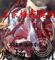 正宗新鲜鹿肉鲜梅花鹿肉纯成年鹿肉不注水不掺假肉质细腻10斤包邮