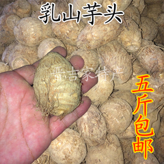 长寿之乡新鲜小毛芋头农家自种有机芋头香芋特价5斤包邮