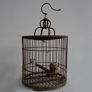 【小型鸟笼竹图片】小型鸟笼竹图片大全_q友网