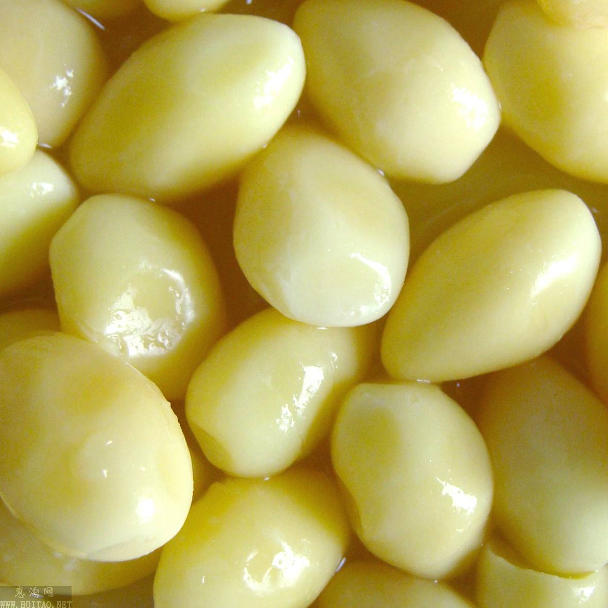 新鲜白果仁果仁即食银杏杏仁去壳白果肉果肉真空白果