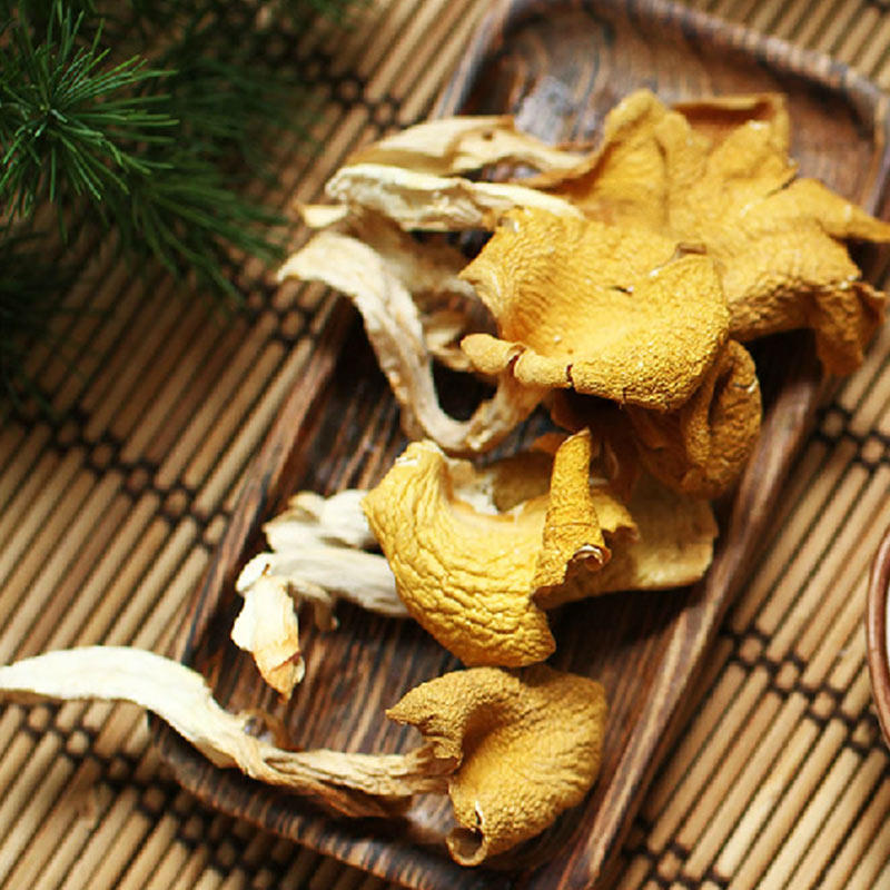 林中宝鸡油菌 食用菌干货送礼100g金袋装粤北特产广东清远特产