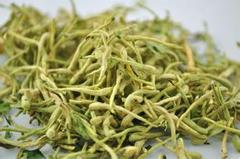 中药材 金银花茶 花草茶 金银花 双花 二花湖南产地500克35元包邮