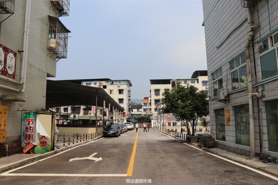 【第一次拍卖】重庆市长寿区八颗镇八颗场八兴街17幢1-1商住