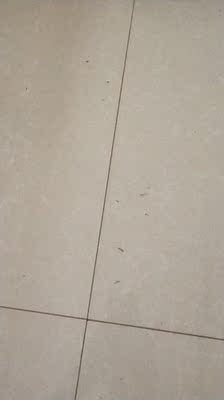 Re:请问真实评测石头S51和小瓦E35哪个好呢??说说使用对比石头S51和小瓦E35区别是 ..