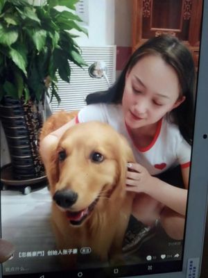 Re:请问真实感受Onda/昂达 X20 WIFI 平板电脑怎么样呢??入手昂达 X20 WIFI平板好 ..