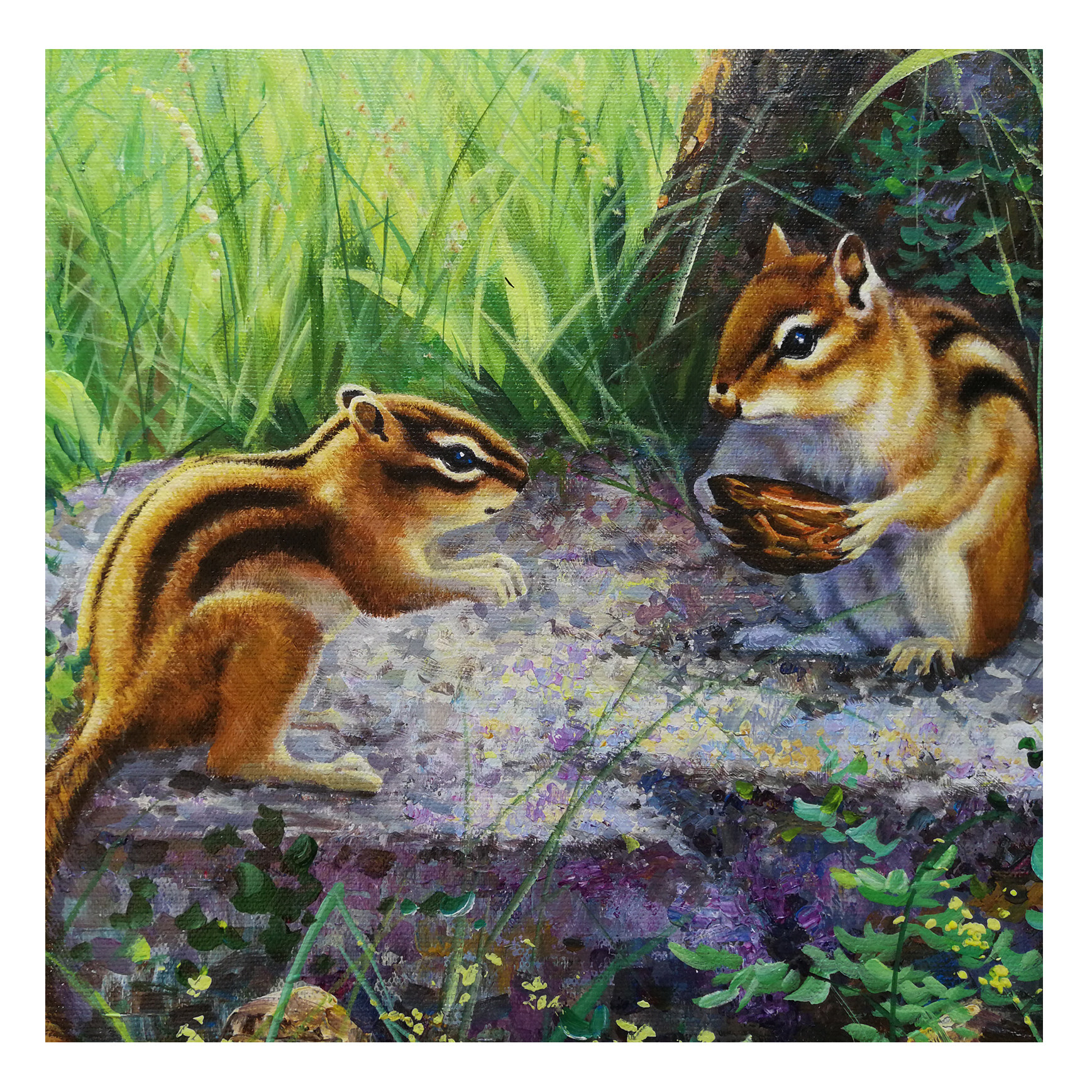 (朝鲜)昌赫《松鼠》白虎美术创作社 星朝美术馆 动物