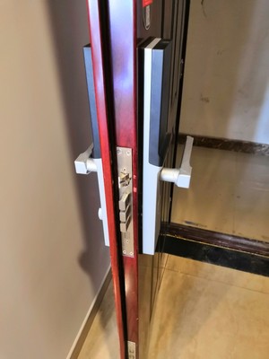 大家谈谈【精心入选】loock鹿客指纹锁哪款好用，大家对比一下！