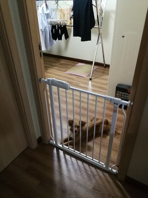 Re:大家说说浦桑尼克无线吸尘器家用强力大功率手持式小型静音除螨无绳P9GTS怎么样 ..