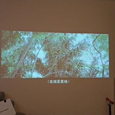 Re:感受对比一下极米h2 天猫魔屏s2区别是???真实说说一下极米h2 天猫魔屏s2哪个 ..