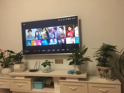 Re:揭秘评测Haier/海尔 LS65A51 65英寸4K超高清智能网络LED液晶平板电视参数配置如 ..