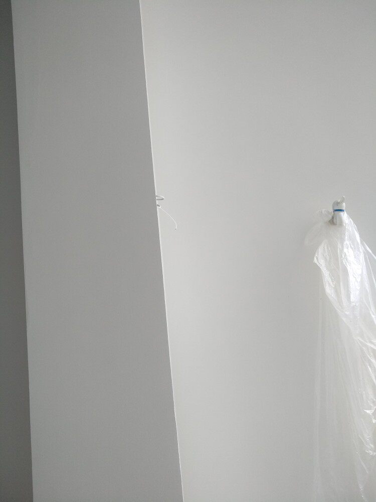 nipponpaint立邦墙漆牌子如何立邦漆金装净味五合一乳胶漆内墙面漆水