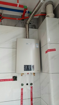 林内燃气热水器JSQ20-C0110升