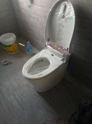 评测点评法国SENSEA抽水马桶怎么样，真的能节水吗？好不好用？