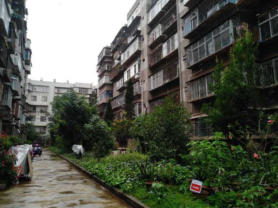 【第一次拍卖】昆明市麻园小区17幢1单元202号