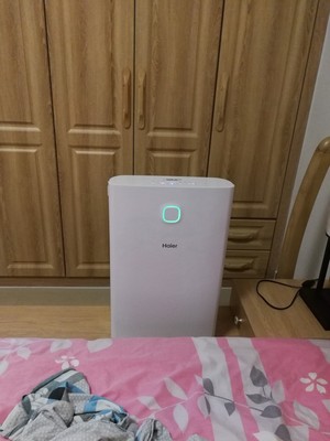 老家装blueair布鲁雅尔和泰拉蒙空气净化器哪个好?对比质量?