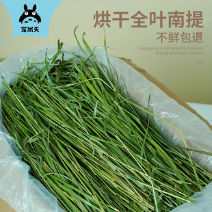 2023精品烘干q全叶提摩西草南提兔子草料干草龙猫荷兰猪牧草