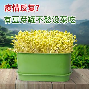 速发发豆芽专用盆生豆芽专用盆发豆芽专用桶生豆芽的工具豆芽菜种