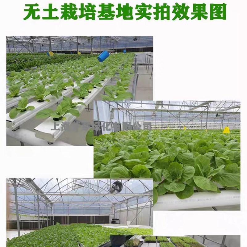 水培通用营养液阳台无土栽培蔬菜肥料草莓瓜果水耕专用水溶液体肥