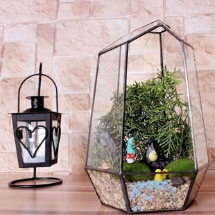 推荐Various Shape Glass Greenhouse Terrarium Pot Garden Cafe