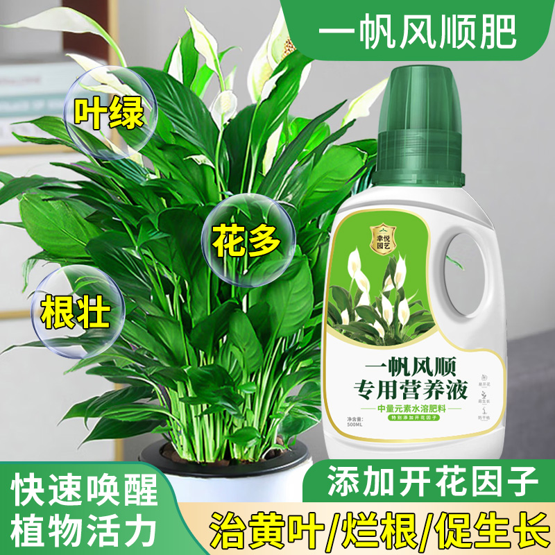 一帆风顺营养液花肥盆栽水培白掌营养液专用肥料白鹤芋红掌专用土