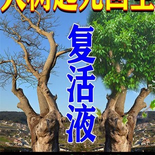 现货速发大树复活液死树死苗复活灵快速生根液改善烂根黄叶树叶复