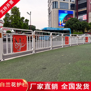 白兰花护栏市政道路交通隔离栏杆人行防撞马路分流栅栏可定制厂家