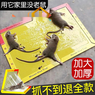 极速老鼠神药特效驱赶神器驱鼠家用夹捕鼠器灭鼠贴强力粘鼠板室内