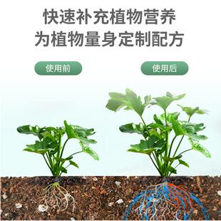 花卉浓缩营养液花肥通用型土培水培绿G植盆栽绿萝家用发财树多肉