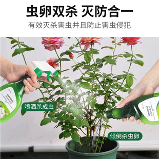 2瓶/植物花卉杀虫剂土壤t除花盆小飞虫驱黑虫专灭花土盆栽室内通