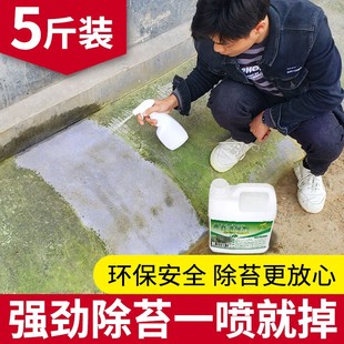 青苔去除剂水泥地面专用青苔克星神器墙面苔藓藻类青苔杀除清除剂