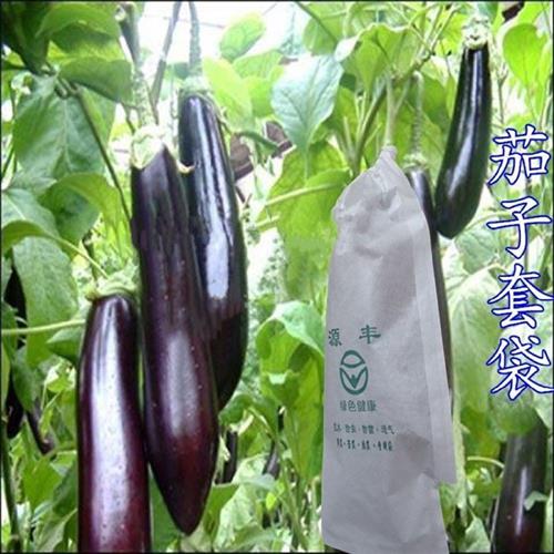 苦瓜套袋专用袋凉瓜黄瓜果蔬袋癞C瓜青瓜紫茄子纸袋玉米南瓜保护