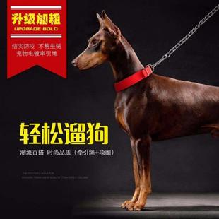 新品网红狗狗牵引绳夏季铁链泰迪金毛遛狗绳狗链子小型犬中型大型